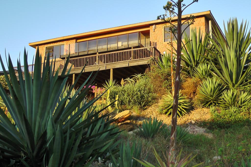 Starfish Surf House Villa Джефрис Бей Стая снимка
